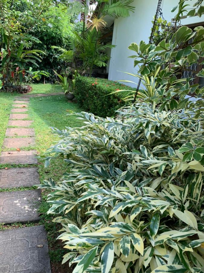 Tranquil Private Villa Near Bentota Beach Екстер'єр фото