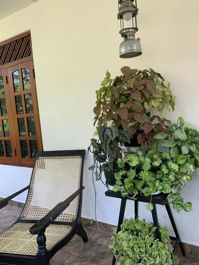 Tranquil Private Villa Near Bentota Beach Екстер'єр фото