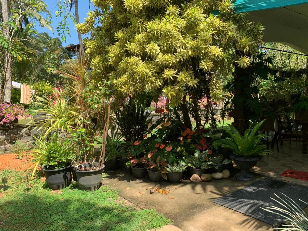 Tranquil Private Villa Near Bentota Beach Екстер'єр фото