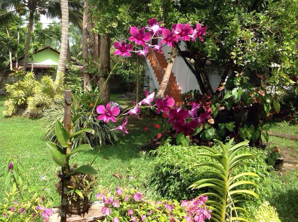 Tranquil Private Villa Near Bentota Beach Екстер'єр фото